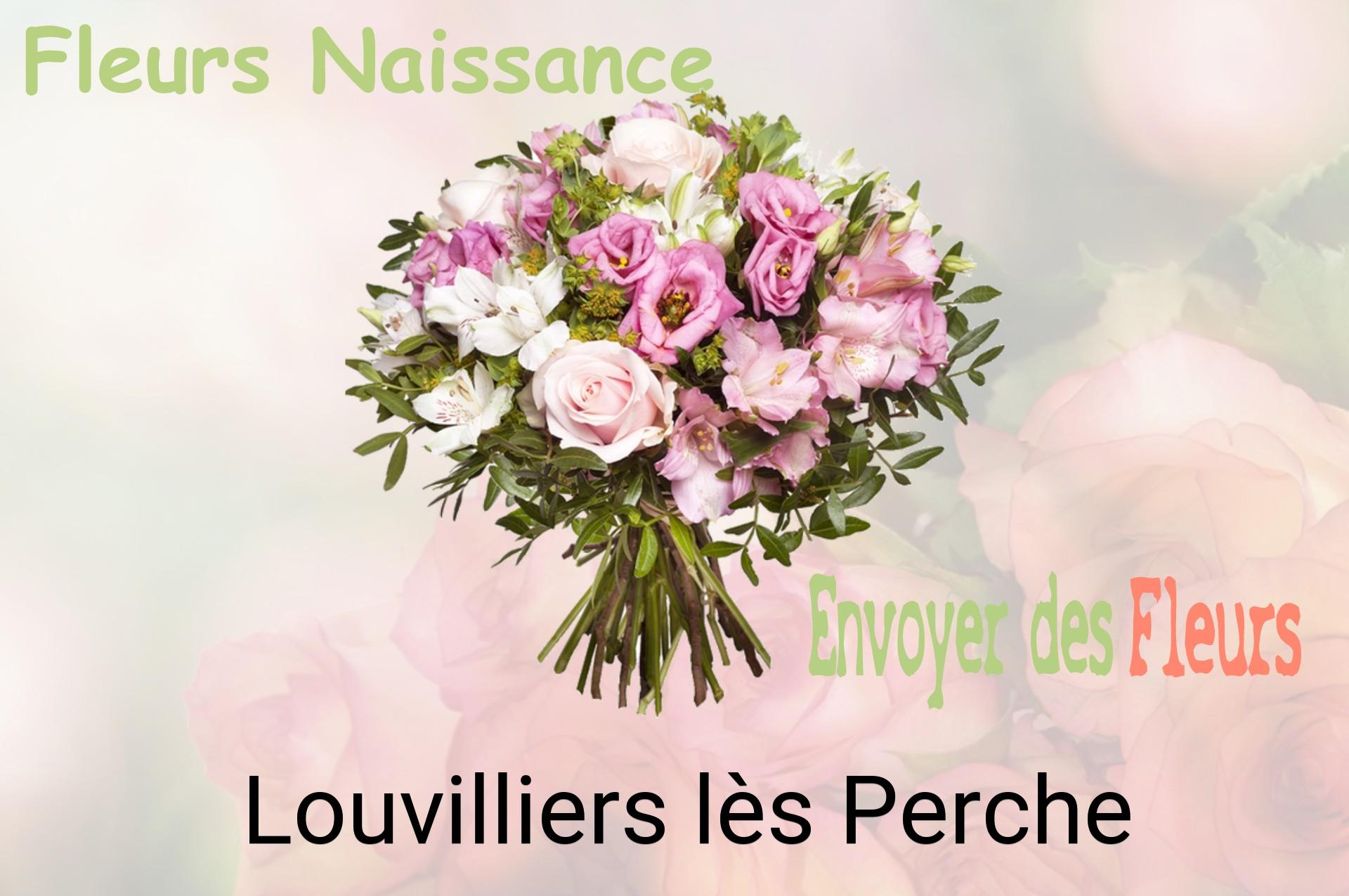 Bouquet de fleurs de naissance livré à Louvilliers-lès-Perche